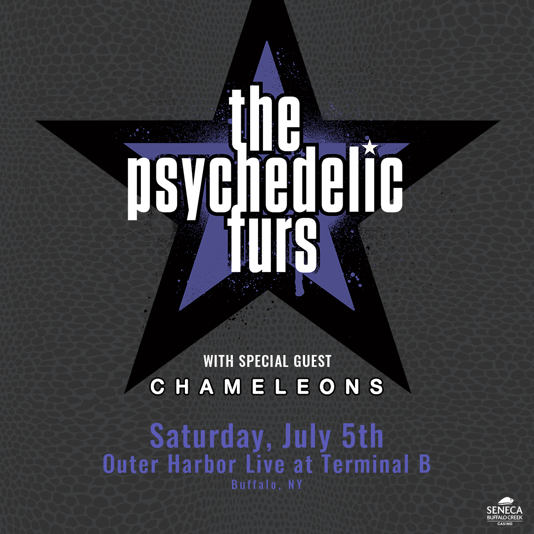 The Psychedelic Furs at Outer Harbor Live at Terminal B
